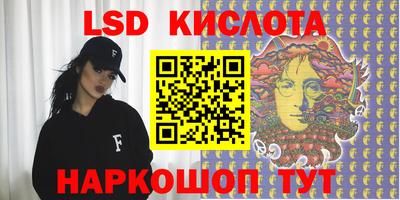 прущие грибы Будённовск