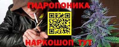 прущие грибы Будённовск