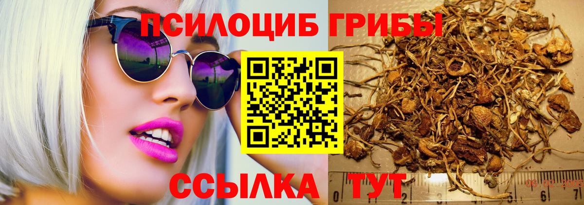 Галлюциногенные грибы прущие грибы  Вход с VPN  Псилоцибиновые грибы ЛСД  Электросталь 